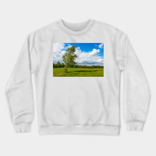 Lonely birch torn by the strong wind Crewneck Sweatshirt